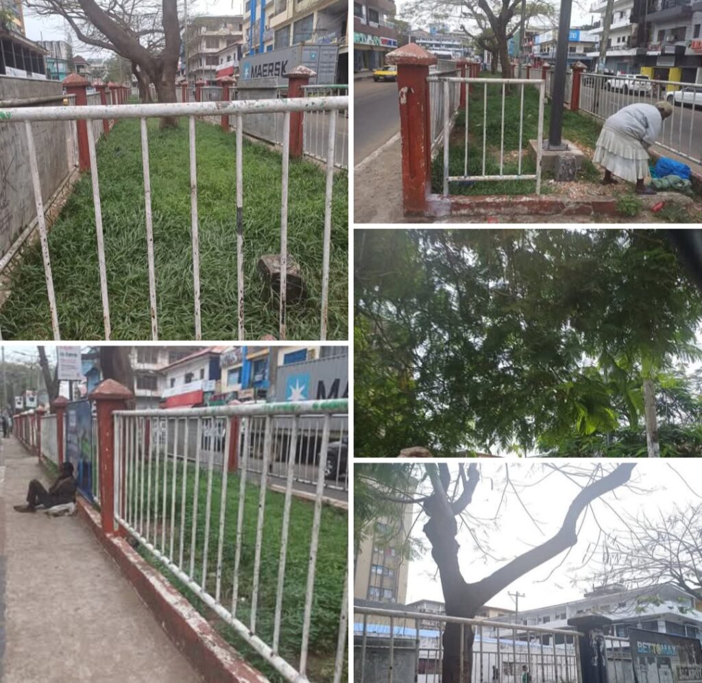 On Broad Street; Mary Broh’s City Park Project Turns Mini Forest and Home To Insane People