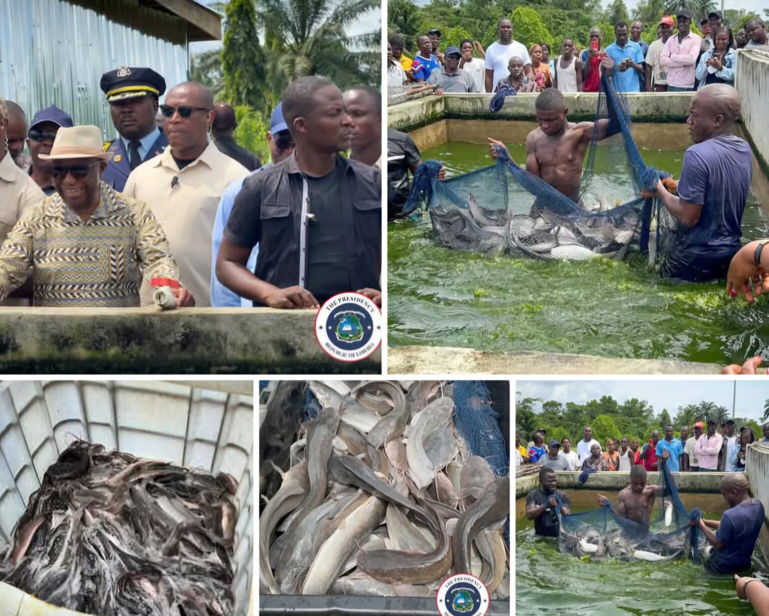 ‘Return To The Soil and Embrace Agriculture”, President Boakai Calls On Liberians