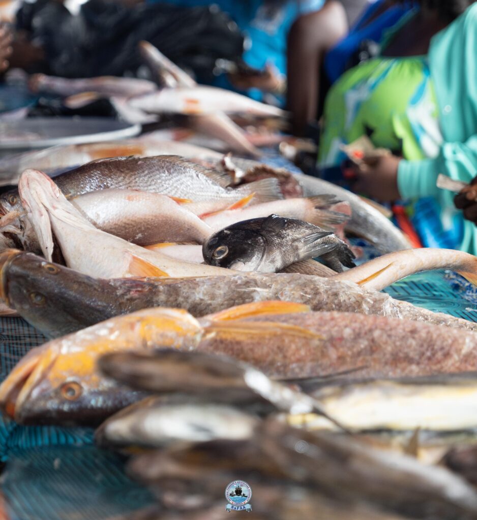 NaFAA’s First Fish Market Day Draws Praise From Sellers, Farmers