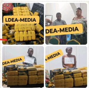 LDEA Arrests Five Women, Seizes Over 100kg of Marijuana on Day One of Operation “Clean Wave