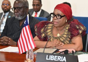 “Governance at UN Security Council”“From Agenda Item to Agenda Setter: AfricaPushes for Real Influence at the UN”